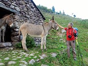 87 Alla Baita Bassa gli asinelli escono a salutarci